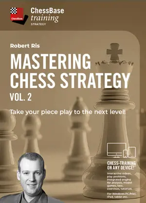 Mastering Chess Strategy Vol. 2