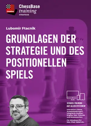 Die Grundlagen der Strategie und des positionellen Spiels