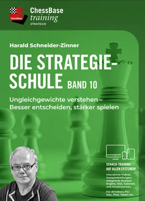 Die Strategieschule Band 10