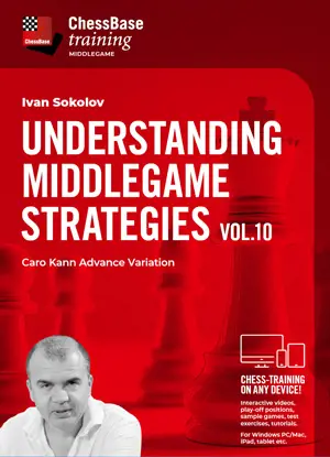 Understanding Middlegame Strategies Vol.10