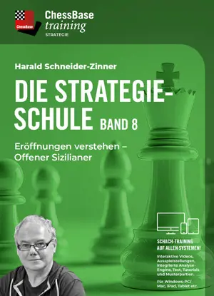 Die Strategieschule Band 8